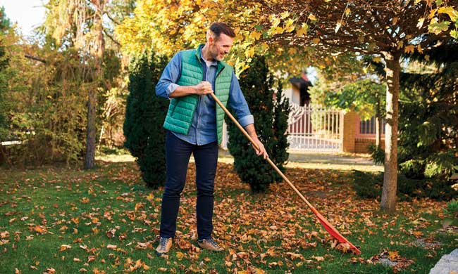 Autumn Lawn Maintenance Tips for a Healthy Yard