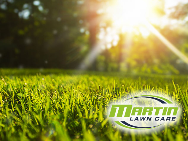 Jackson Michigan Business Spotlight - Martin Lawn Care LLC