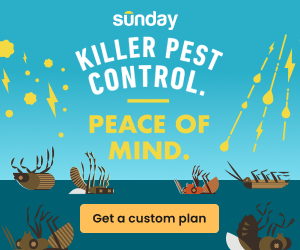 Sunday Pest Control