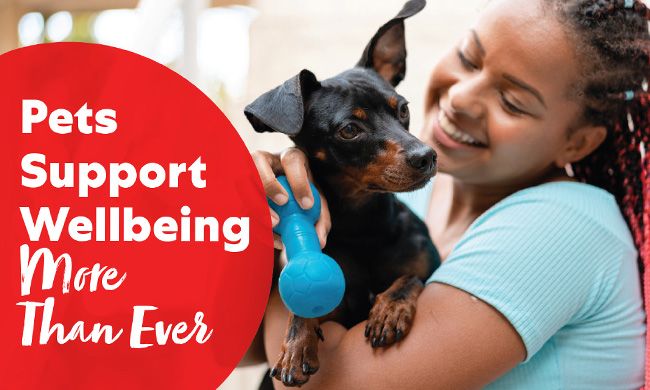 Pets for Better Wellbeing