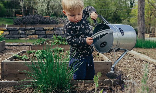 5 Tips for Gardening with Kids